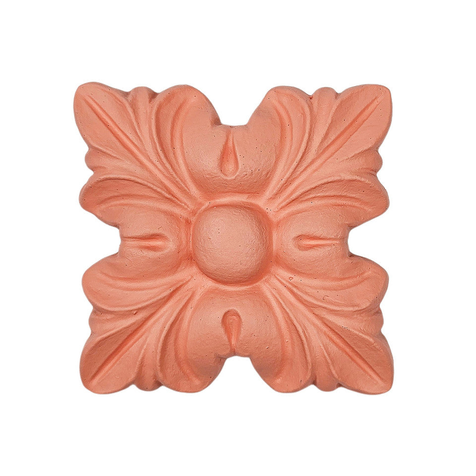 Coral Passion Acrylic Mineral Paint