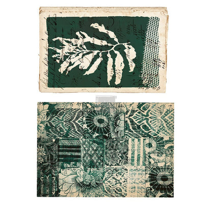 Algae Print - Decor Transfer - Furniture Transfer