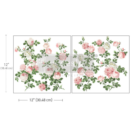Salon De Diane - Maxi Transfer