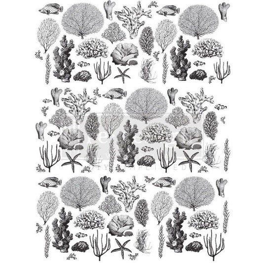 Coastal Sea Life - Decor Transfer - Furniture Transfer